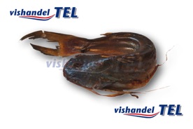 Smoked Catfish ring.jpg Smoked Catfish ring.jpg